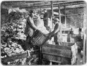 Werkplaats van HvO in De Telegraaf, 7 februari 1926