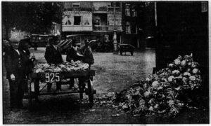 Een flink partijtje bloemkool voor de Toevlucht voor Onbehuisden, Het Volk, 26 juni 1930