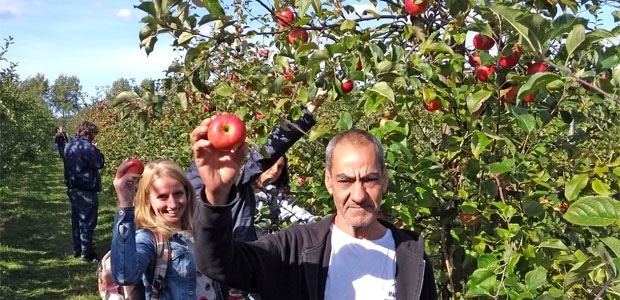 Team Oosterpark plukt appels